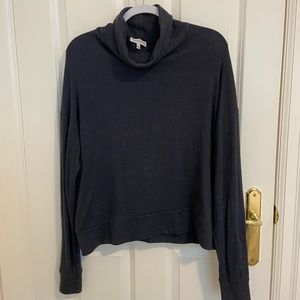Aritzia Blue Turtleneck Sweater